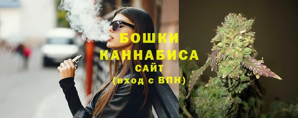 СК Строитель