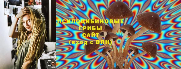 СК Строитель