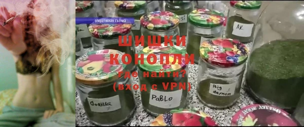 СК Строитель