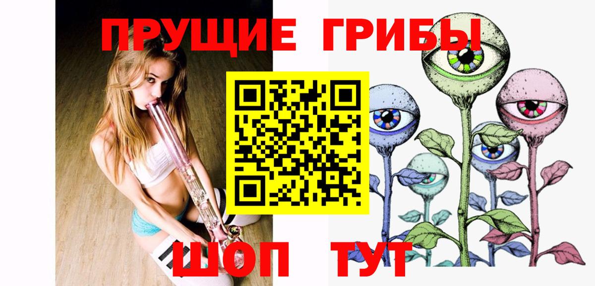 Ногинск  Галлюциногенные грибы Cubensis  Вход с VPN 