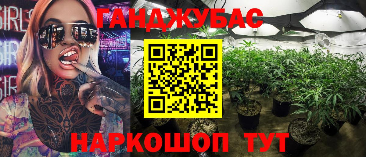 Каннабис планчик  Вход с VPN  Конопля OG Kush  Конопля MAZAR  Шишки марихуана сатива  Ногинск 
